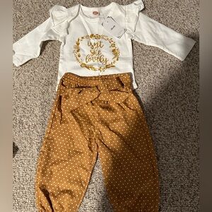 Beautiful Never Worn NWT 0-3 Months Boutique Outfit, satin pants matching shirt!